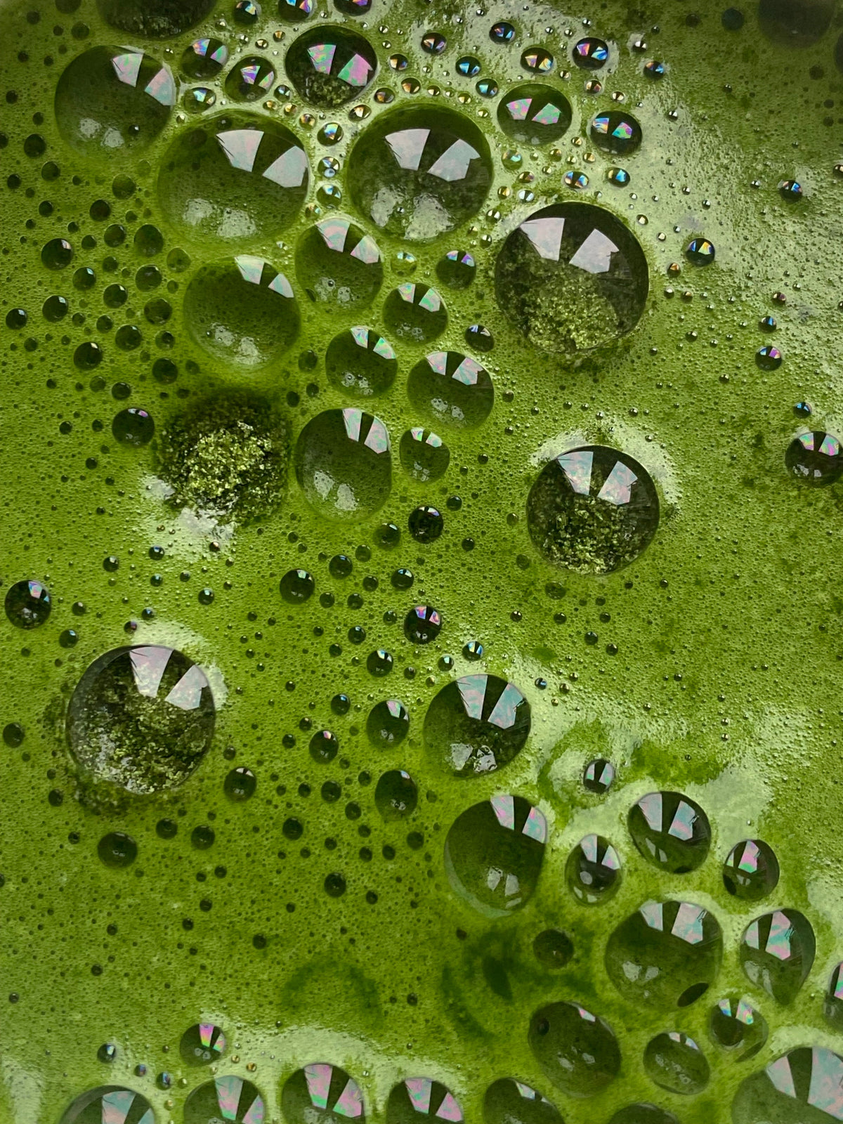 HOW TO TELL IF YOUR MATCHA IS ACTUALLY GOOD
